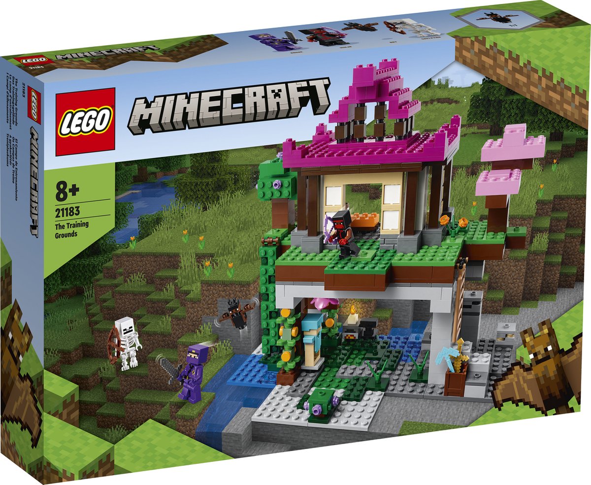 LEGO Minecraft De Trainingsplaats - 21183