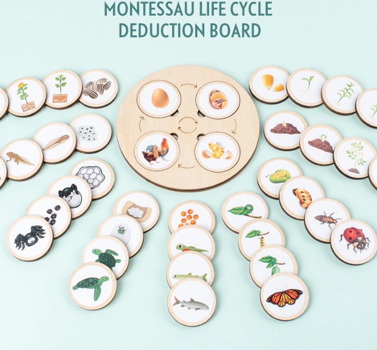 Levenscycles Spel met 10 soorten cycles - Montessori-Educatief bord spel