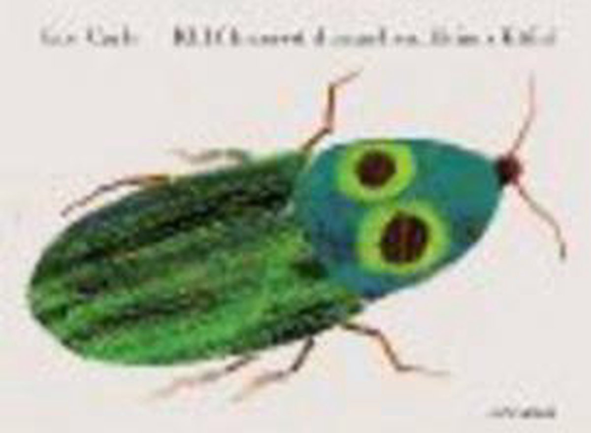 Aspekte. Lehrerhandbuch mit digitaler Medien-DVD-ROM B1+