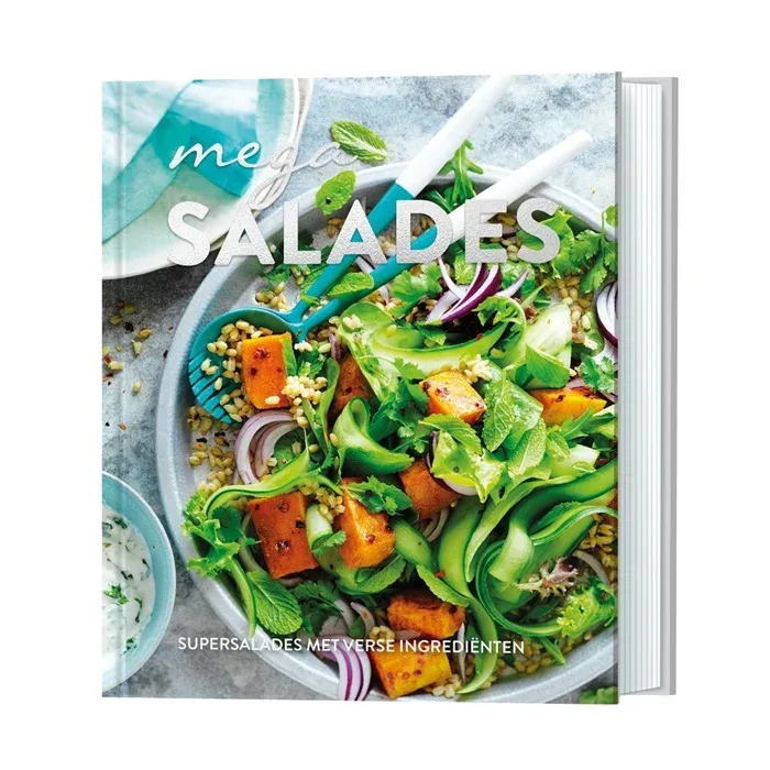 Lantaarn Publishers Mega salades