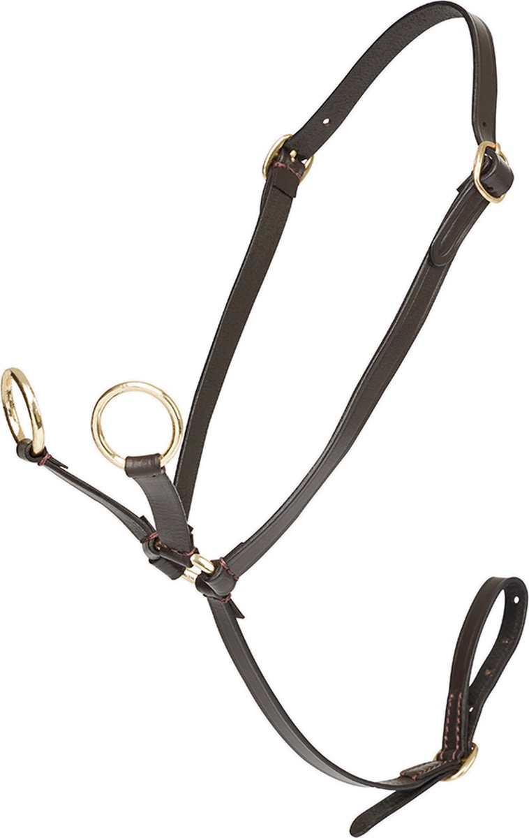 LEMIEUX MINI TOY PONY MARTINGAAL Bruin