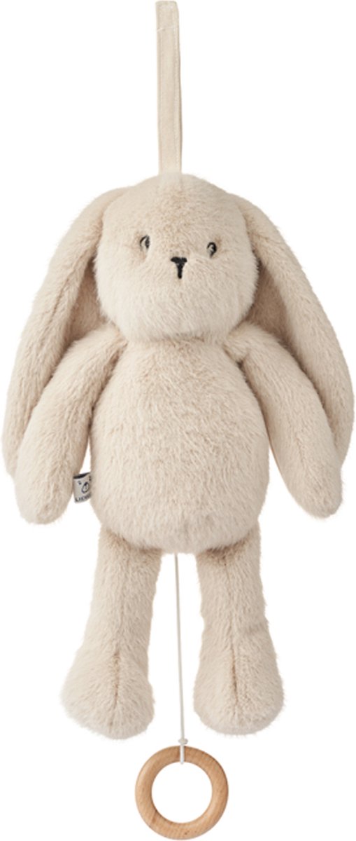 Muziekhanger Makenna Konijn