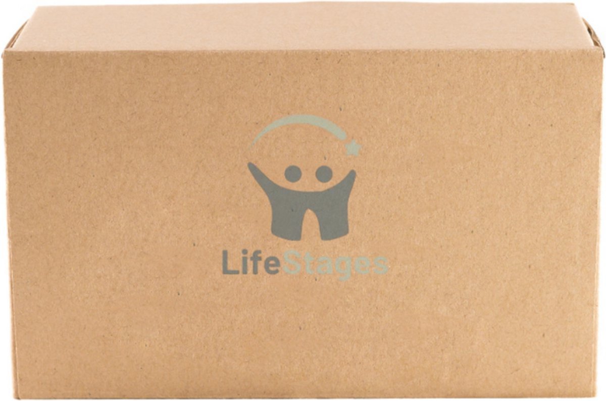 LifeStages - Magnetisch Doolhof - Magnetisch Spel Doolhof Speelgoed - Montessori Speelgoed Vanaf 2 3 4 5 Jaar - Cijfers Kleuren Leren Sorteren Spel - Dinosaurus Magnetisch Spel Voor Kinderen - Motorische Vaardigheden Speelgoed Cadeau Kinderen