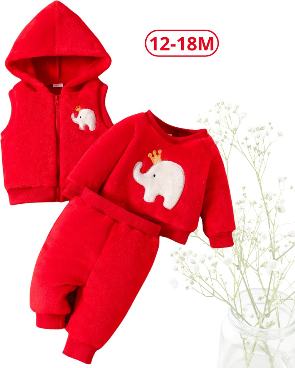 Livano 3-Delige Romper Baby - Berenpakje - Winterpak - Pakje - Jongen - Meisje - 12-18 Maanden - Rood