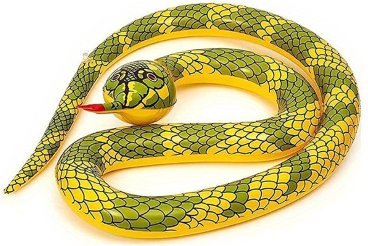   Opblaas Slang - Zomerspeelgoed - Waterspeelgoed - Strandspeelgoed - Zwembad - Zwemmen - Zomer - Opgerolde Slang