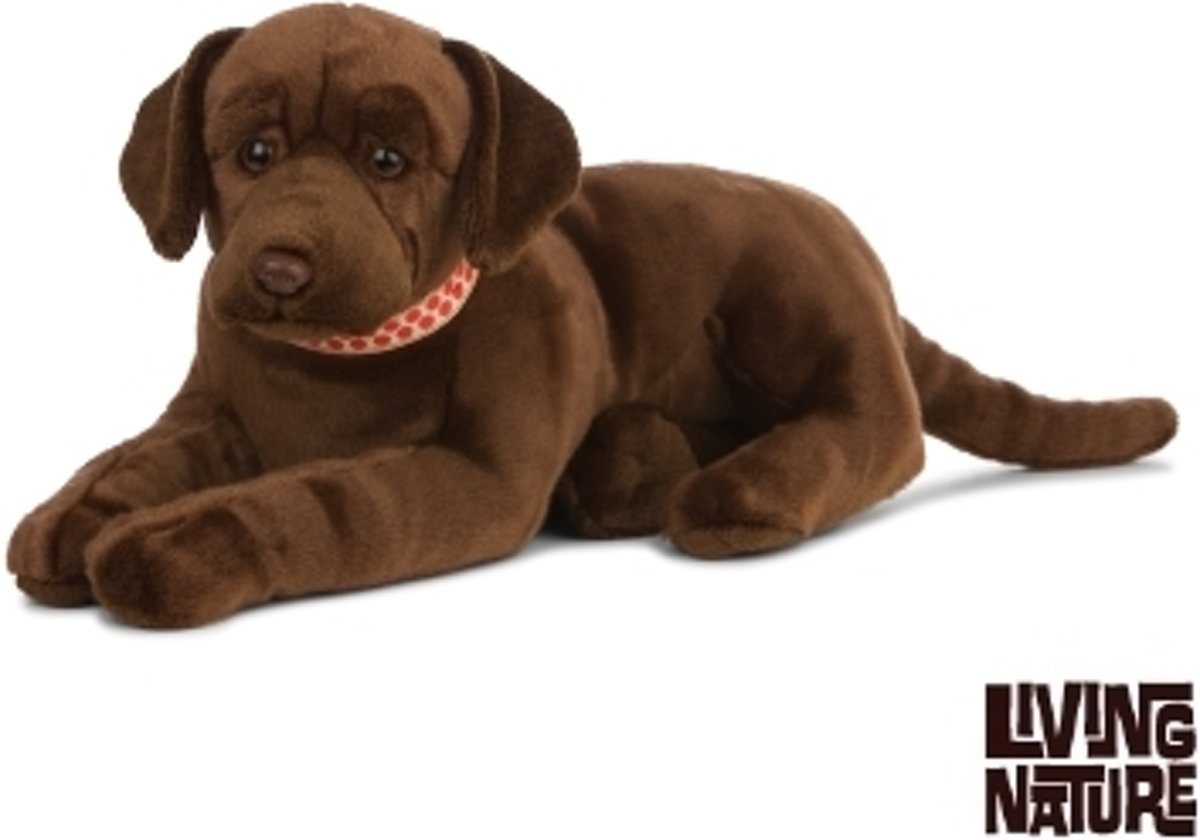 Knuffel Labrador Bruin groot, 60 cm