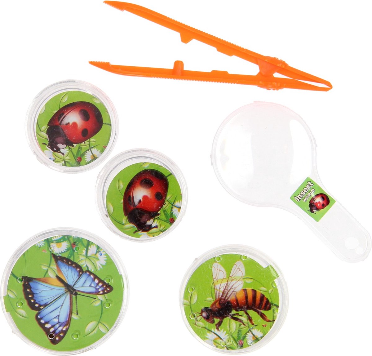 Bugs World Insecten Observatiesetje, 5dlg