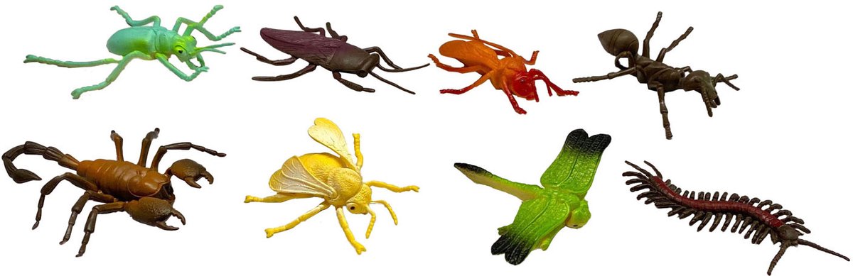 Insecten, 8st.