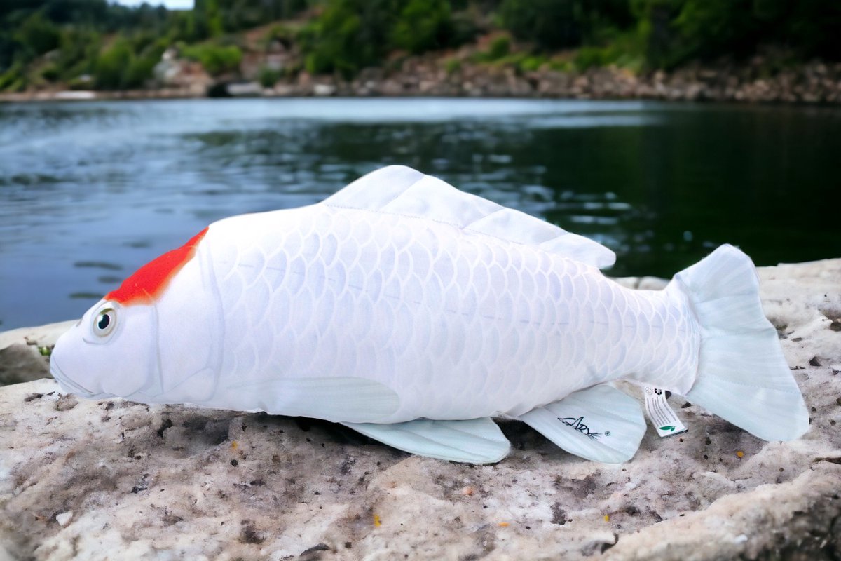 Vis Kussen - Gaby de Koikarper Tancho - Wit - Koi - De Perfecte Knuffel voor Vissenliefhebbers - Visknuffel