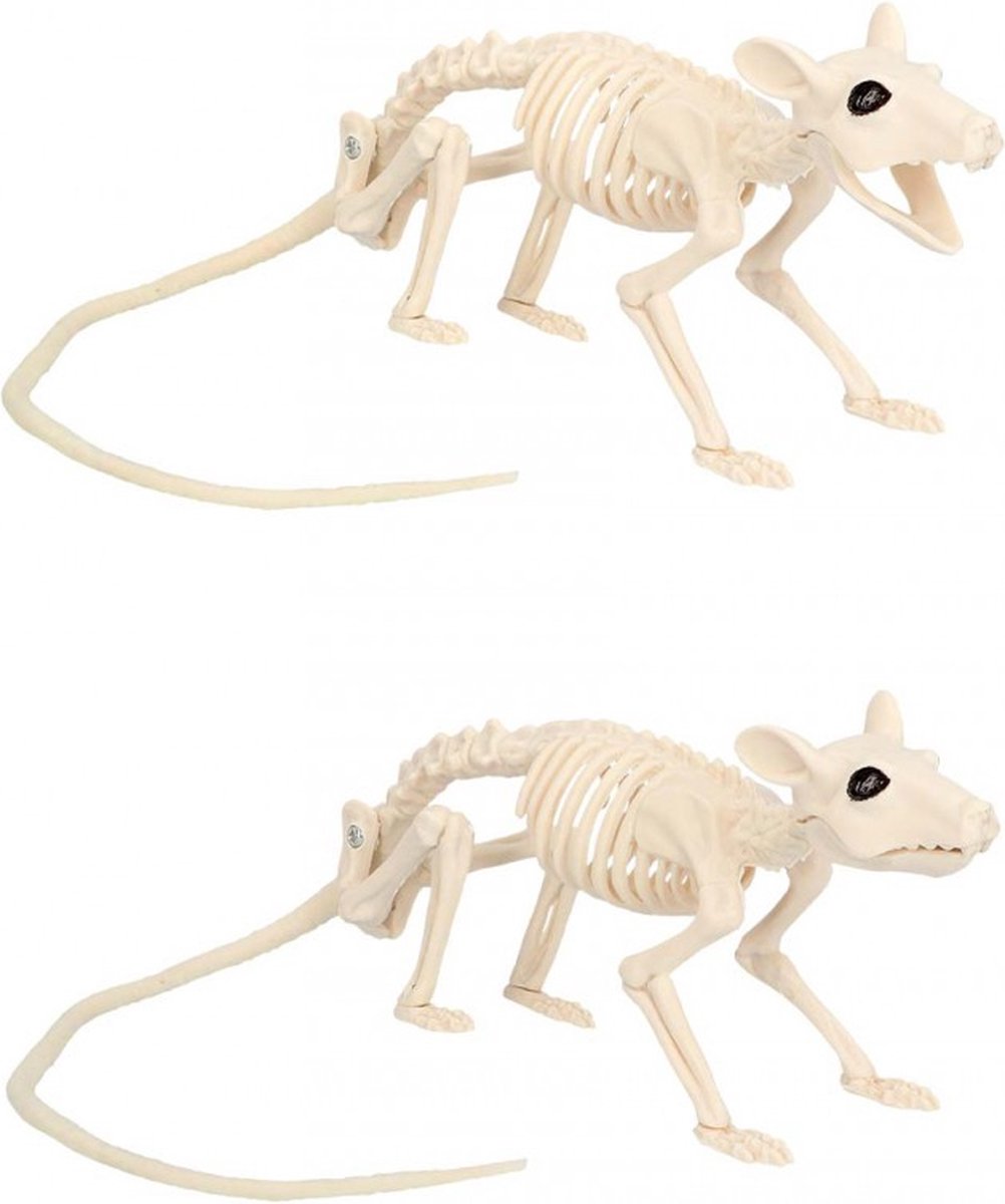2 x Skelet Rat