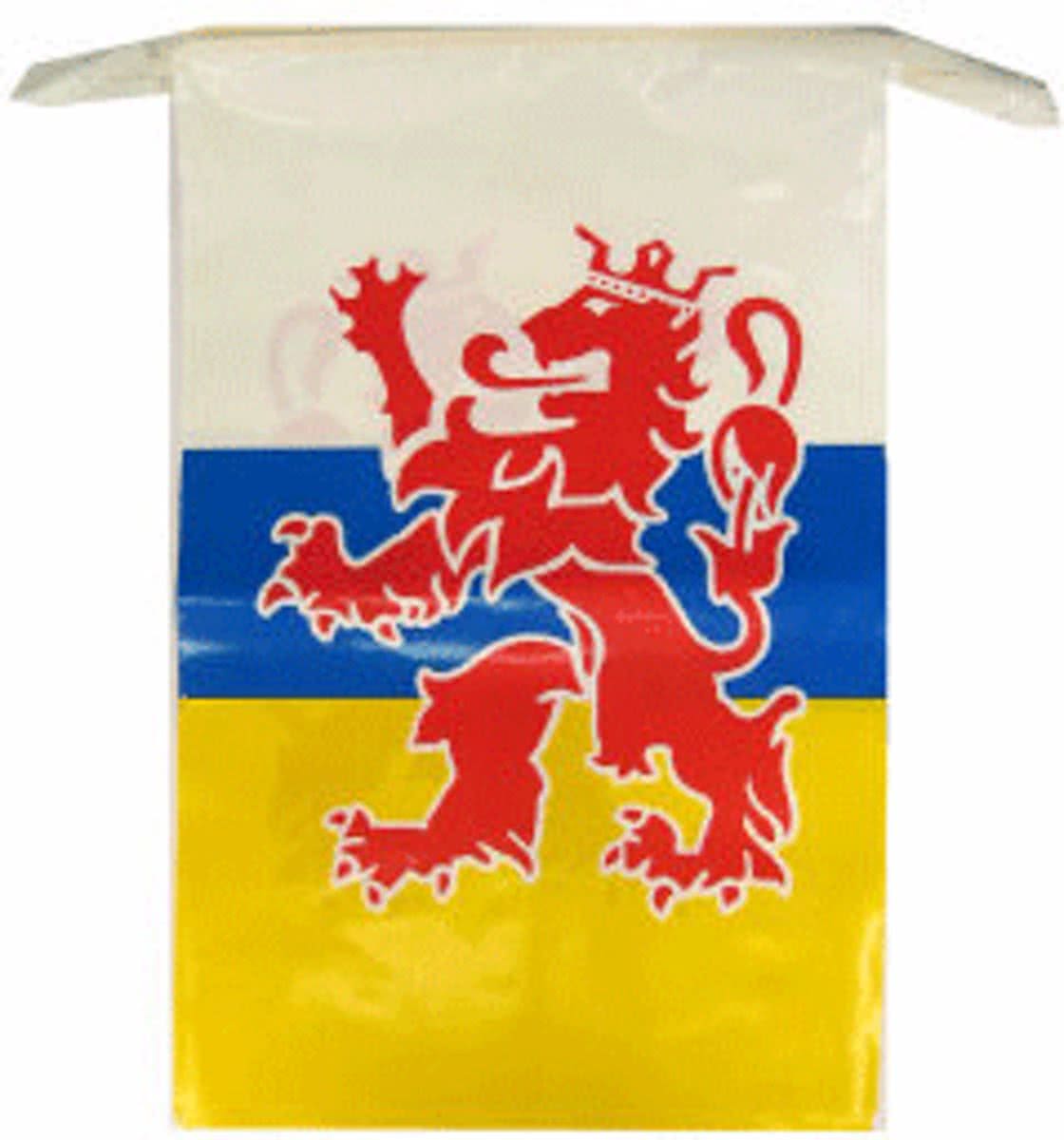 Plastic vlaggenlijn Limburg