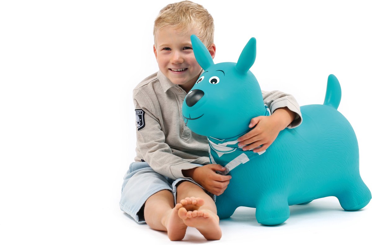 LUDI - JUMPER HOND BLAUW