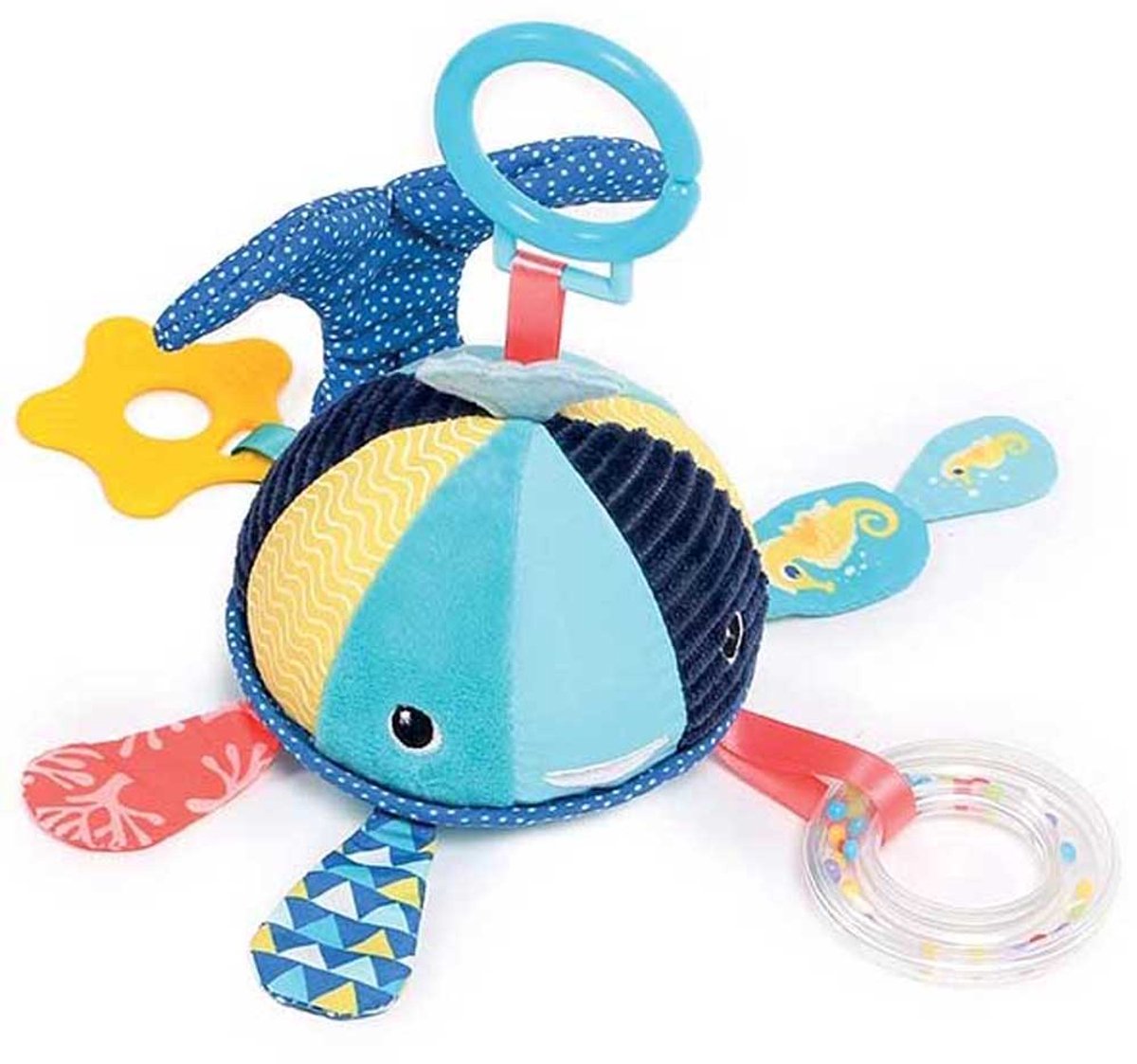 Ludi Walvisspotten Activiteiten Veelkleurig