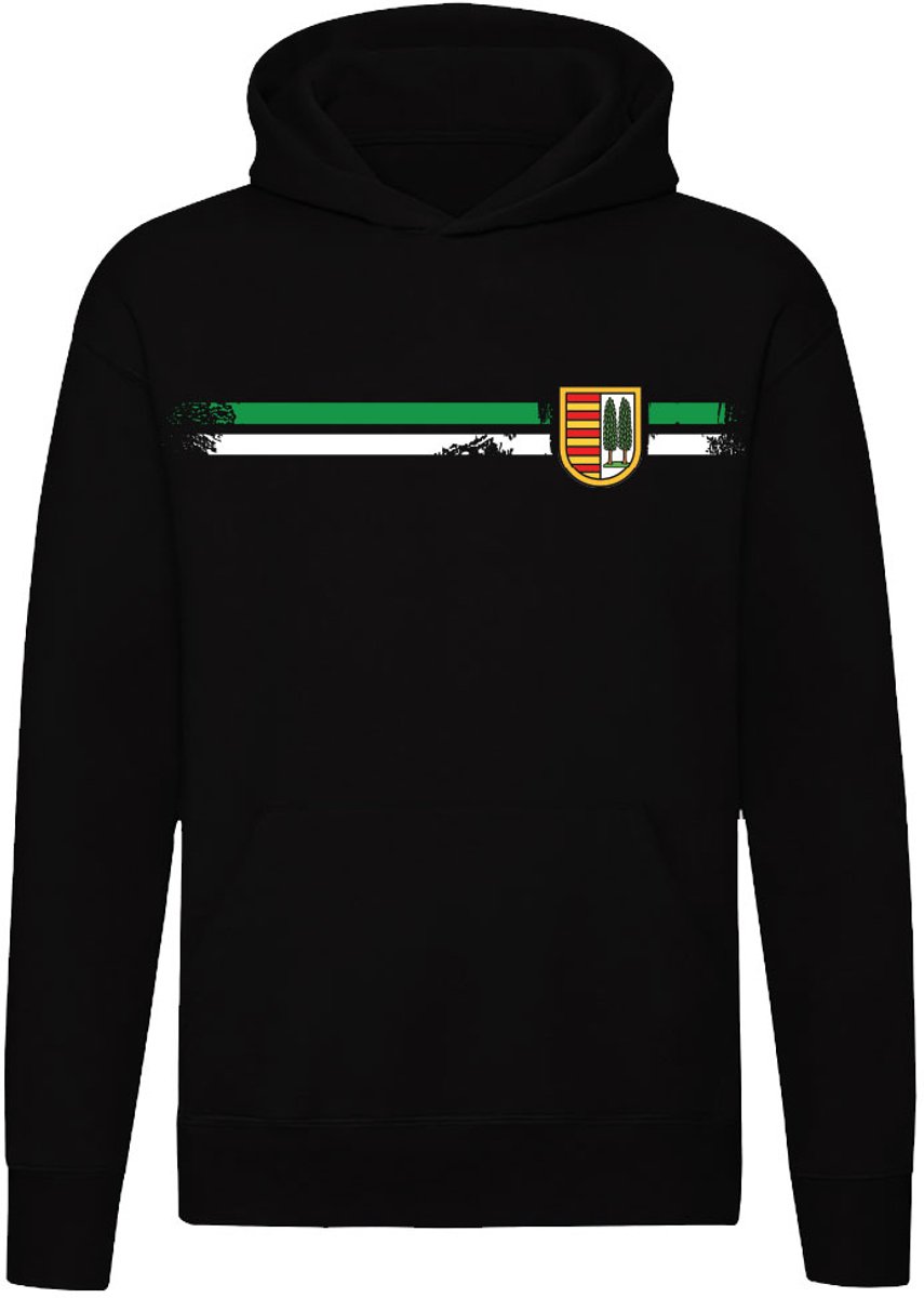 Hasselt Hoodie - unisex - stadsembleem - trui