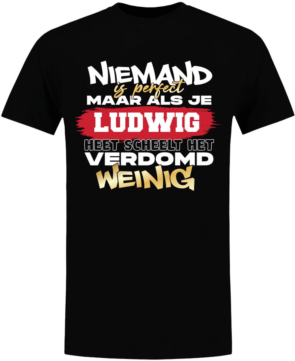 Niemand is perfect, verdomd weinig Ludwig - heren - verjaardag - shirt - jarig - vaderdag