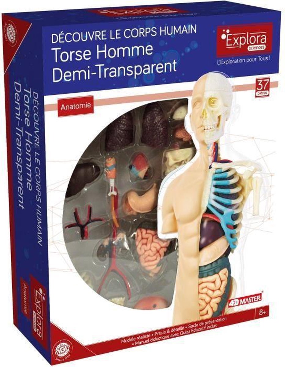 MGM - Explora - Borstanatomie - Anatomie-experiment