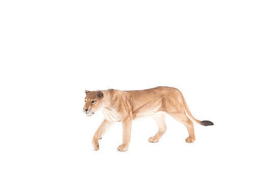 Leeuwin - Speelfiguur