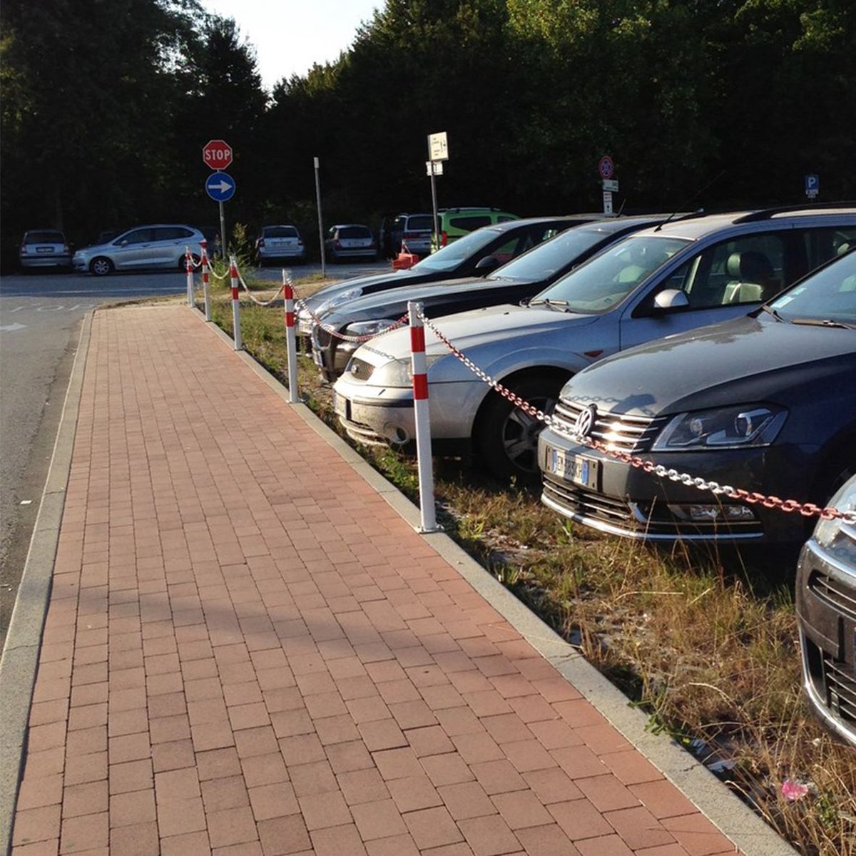 Stalen Paal zonder voet z/g MW Tools BSF100NJ