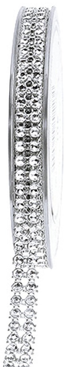 Decoratief lint zilver, glanzend 10 mm 4 m