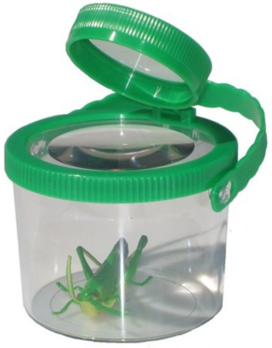 Mamamemo Insectenvergrootglas Kunststof 8 Cm Groen