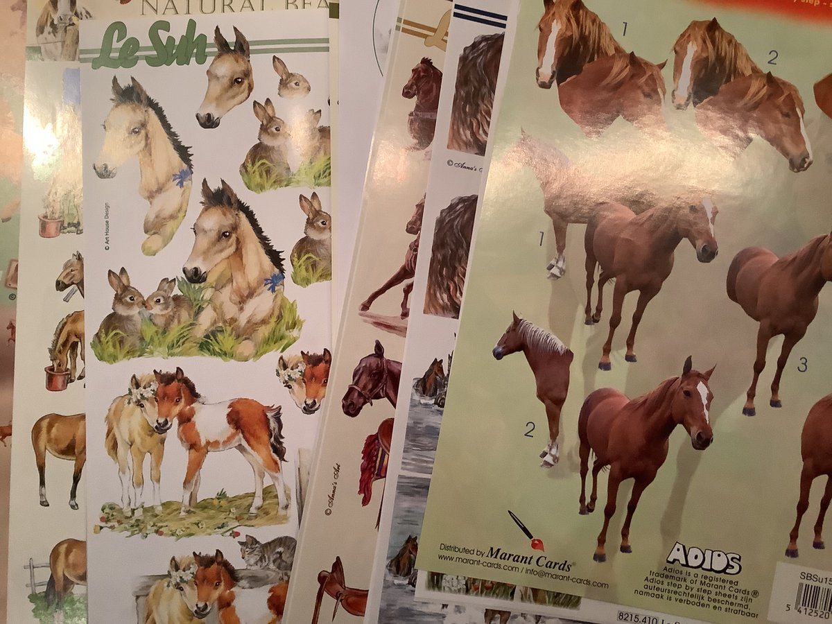 knipvellen assortiment thema 