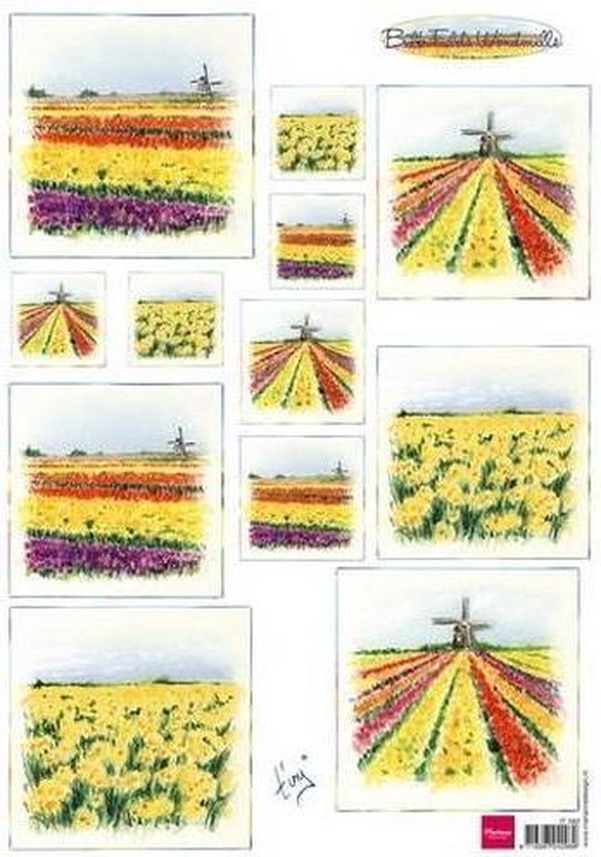 Marianne Design 3D Knipvel  Bulb fields windmills - 5x knipvel windmolen - bloemen