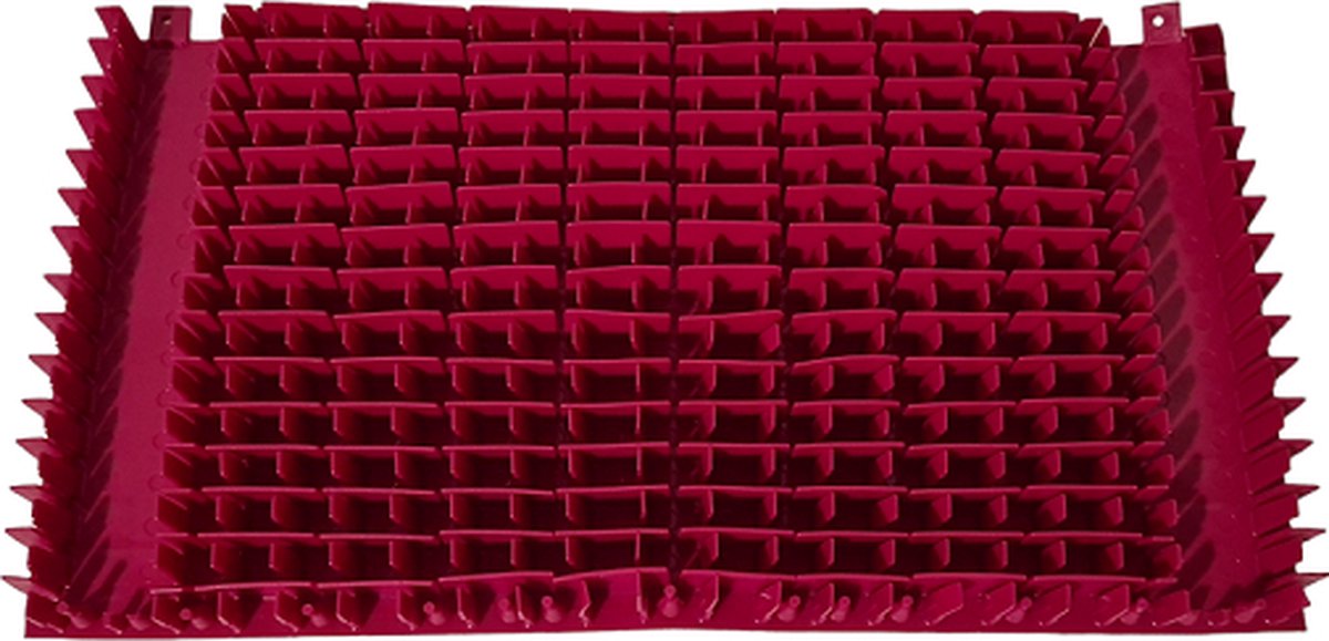 Dolphin 2001 en dynamic Pvc Borstel Magenta