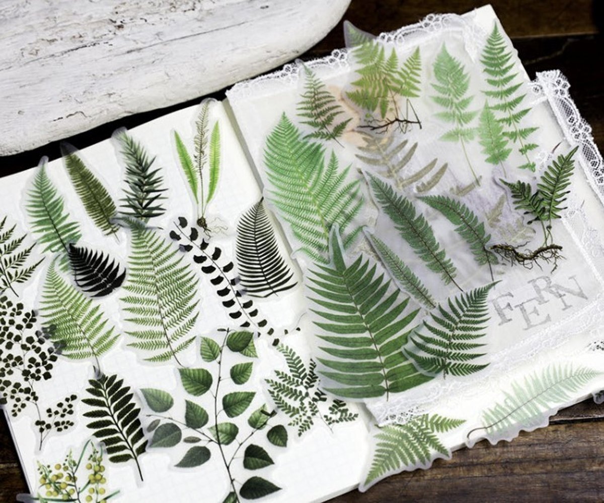 Vellum Stickerset Green - 70 stuks - Varens - Planten - Botanische stickers