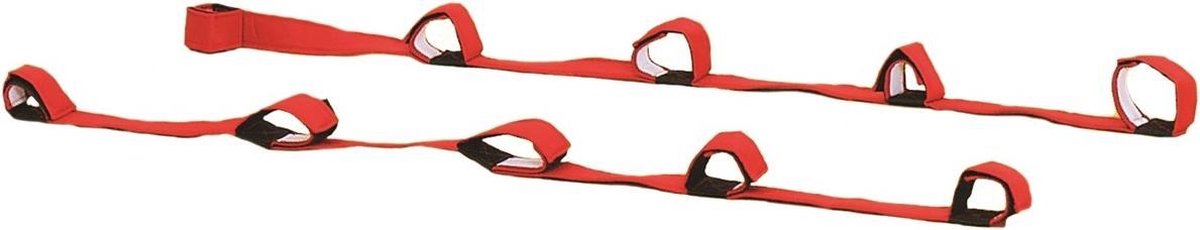 Megaform Pair of Cooperative Band Walkers