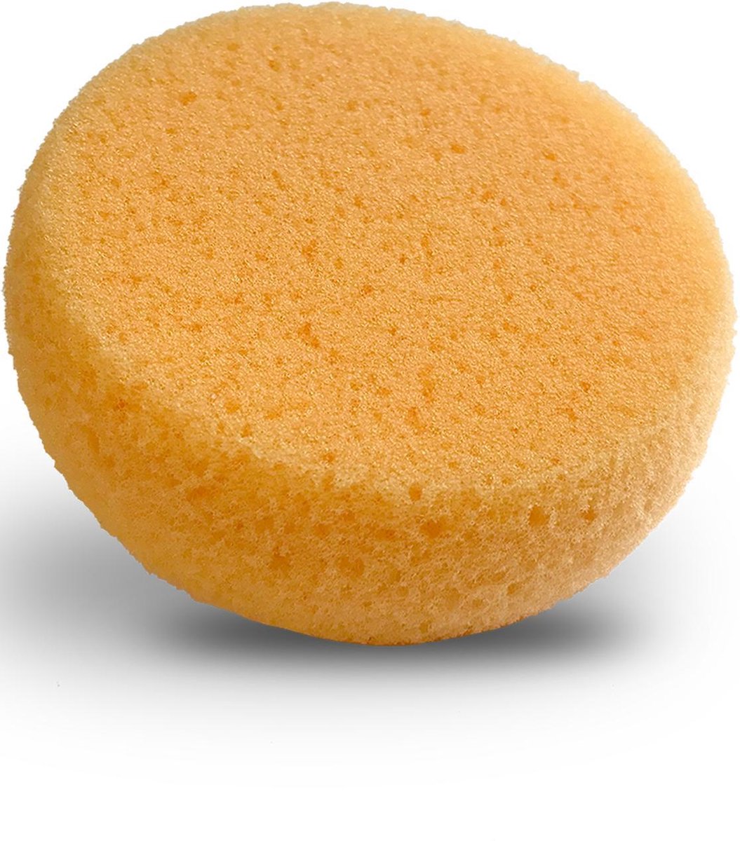 Foam Hydra Sponge Applicator