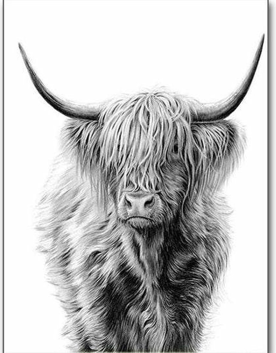 Diamond painting - schotse hooglander - 50x40 cm - vierkante stenen