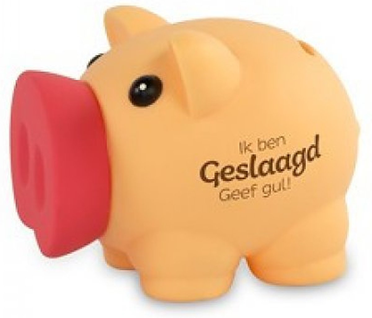   - Spaarvarkentje - Ik ben geslaagd