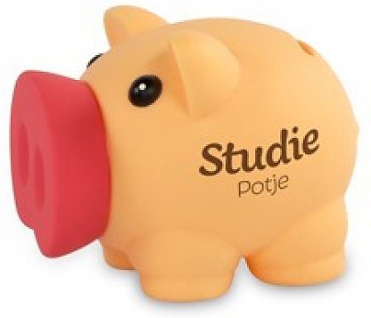   - Spaarvarkentje - Studiepotje