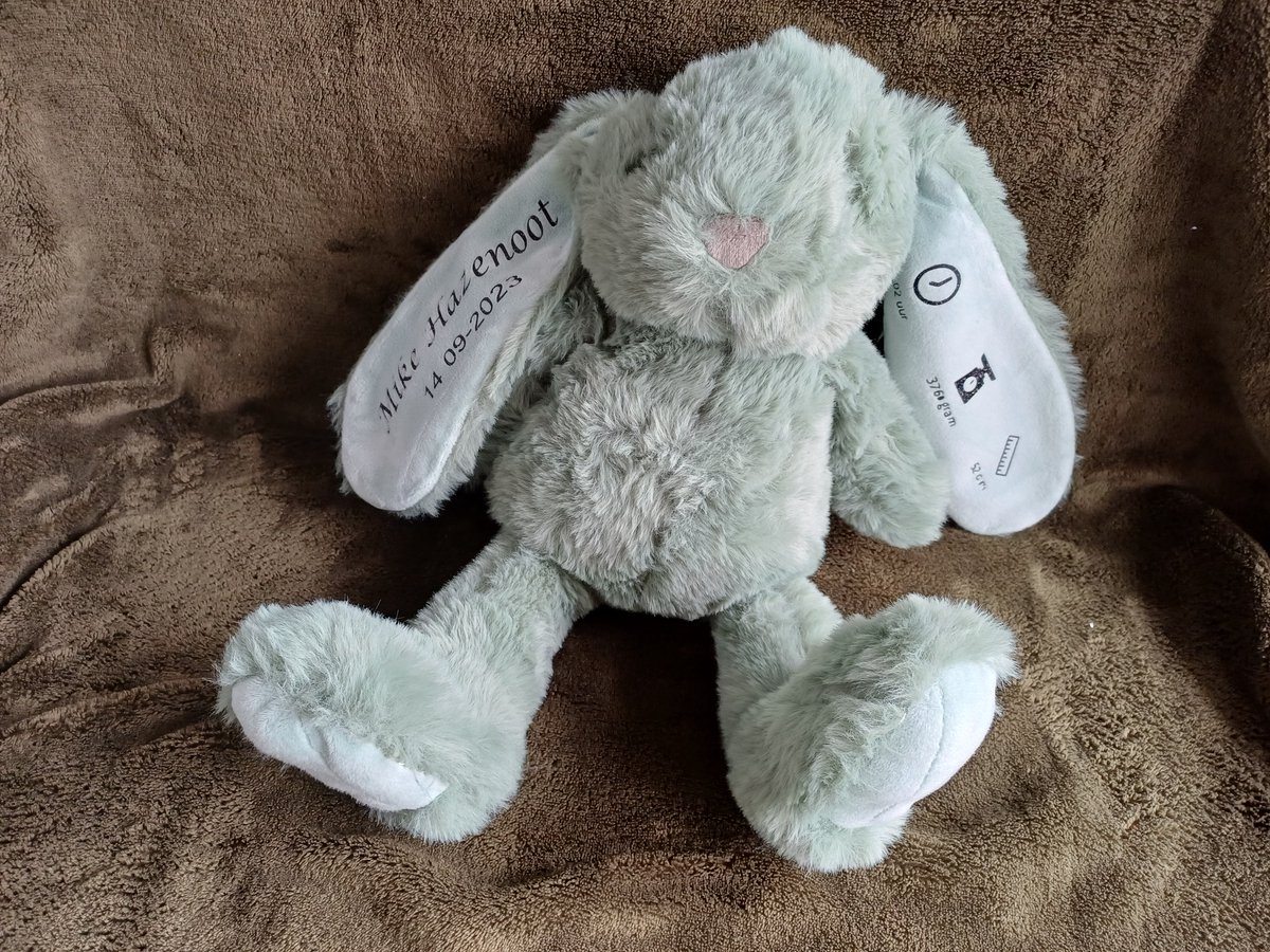 Gepersonaliseerd knuffelkonijn met geboortegegevens – Naam, datum, tijd, gewicht en lengte – Keuze uit 4 kleuren – Uniek geboortecadeau