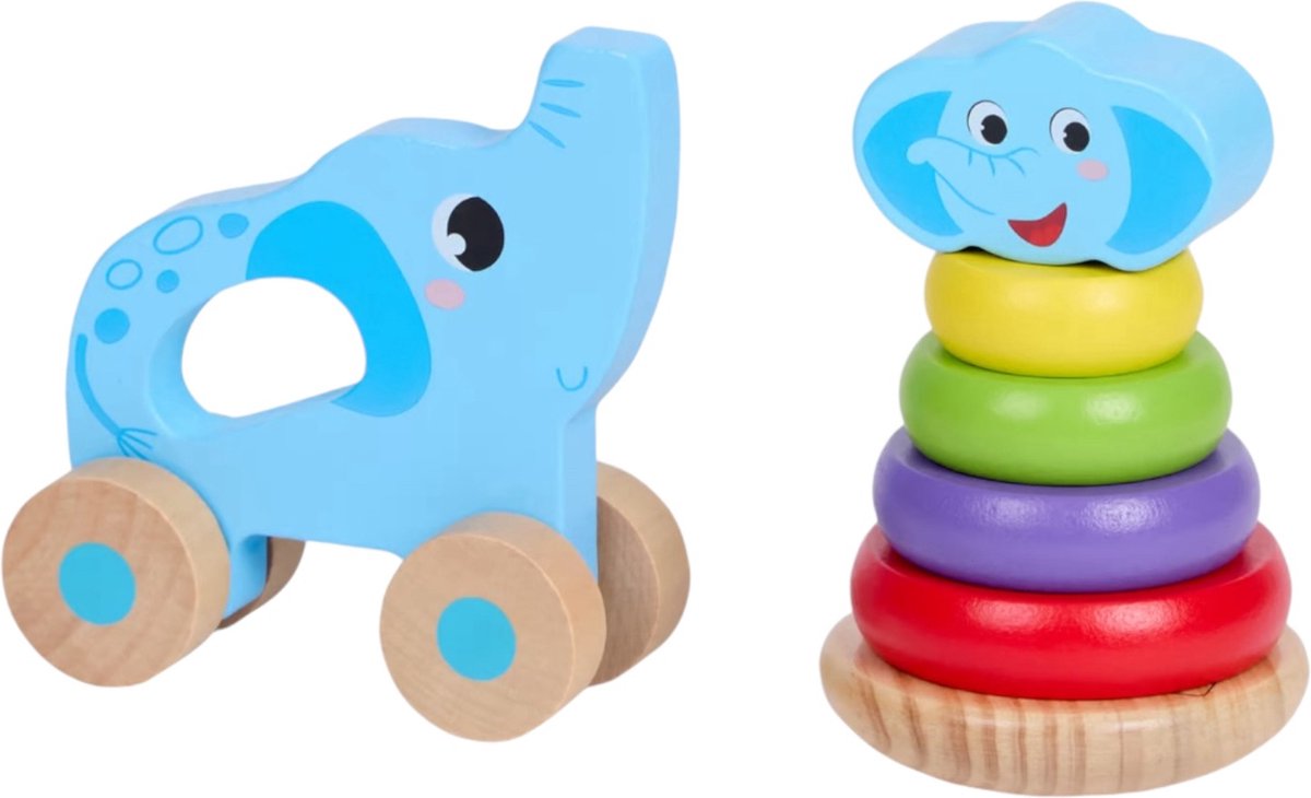 Mini Matters Stapeltoren – Stimuleert Motoriek en Hand-Oog Coördinatie