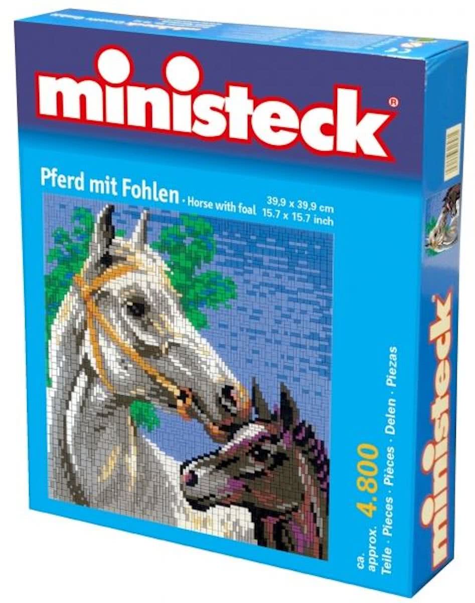 Ministeck Paard met Veulen