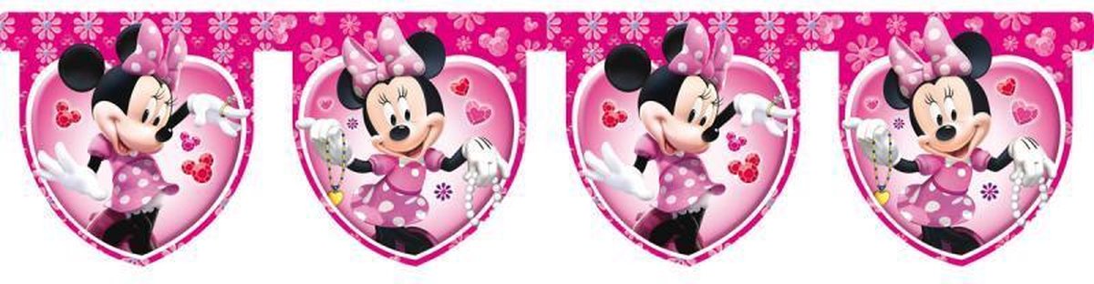 Minnie Mouse vlaggenlijn 3 meter
