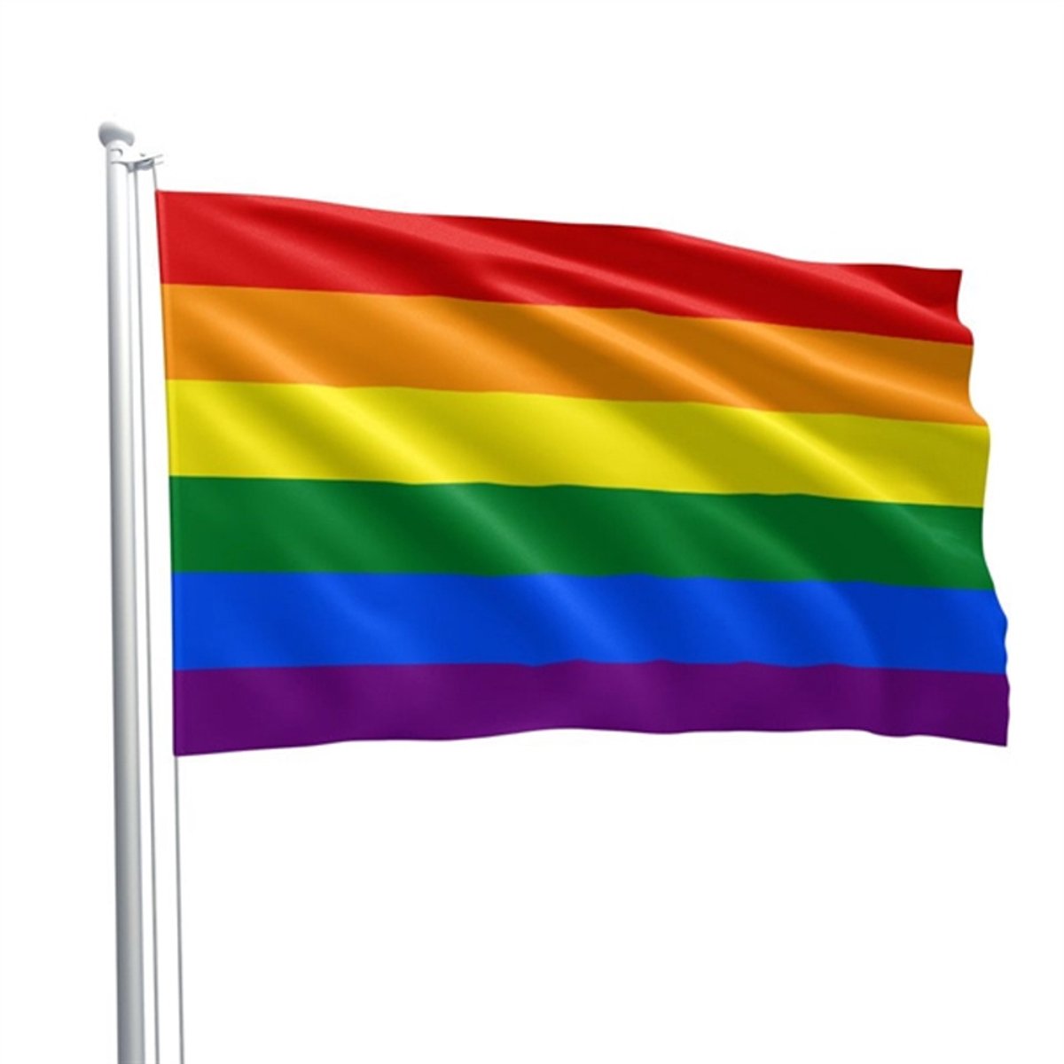 Pride regenboog vlag 60 x 90 cm