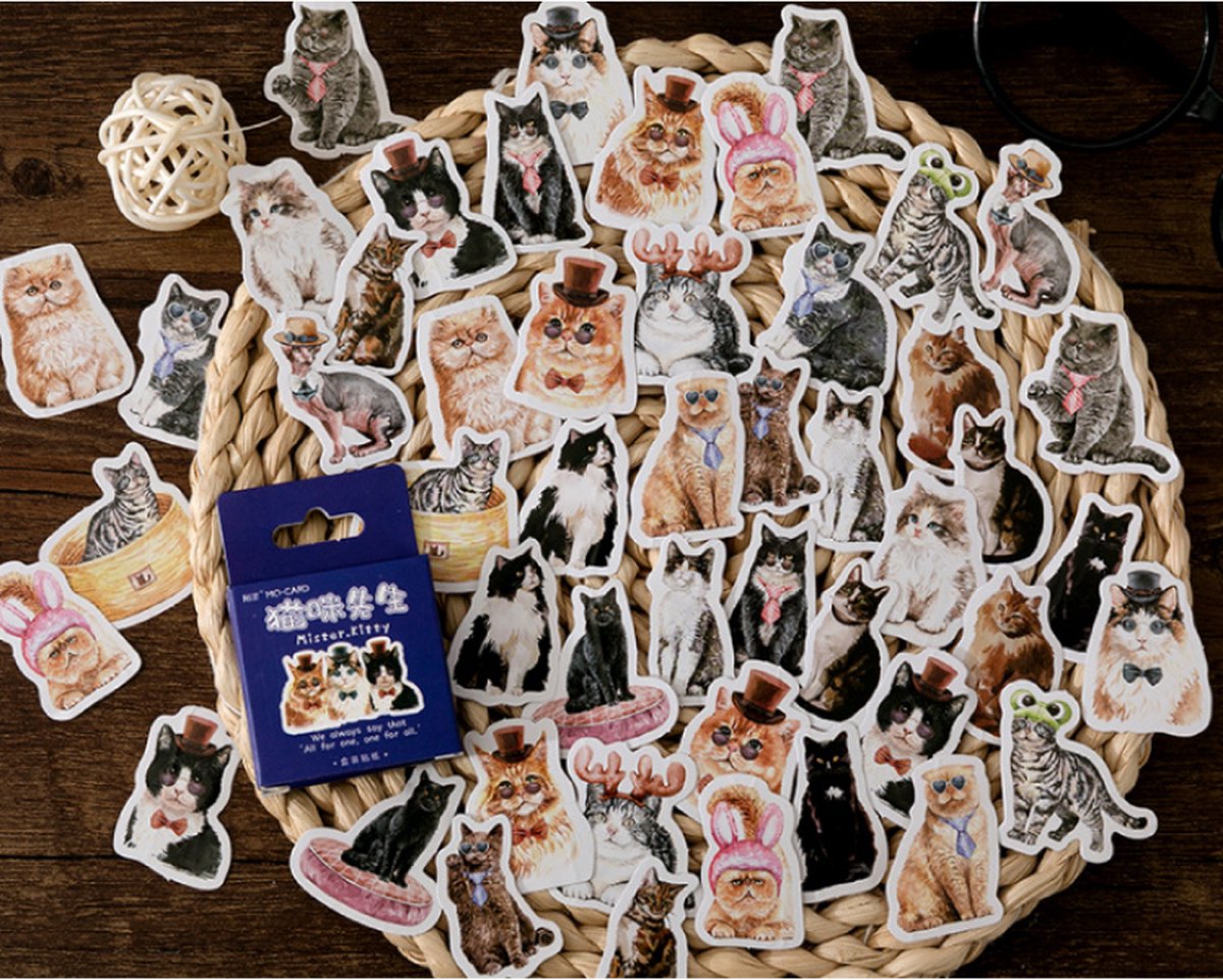 Bullet Journal Stickers - Planner Agenda Stickers - 46 stuks - Mister Kitty - Kat - Cats  - Scrapbook stickers - Bujo stickers - Stickers volwassenen en kinderen