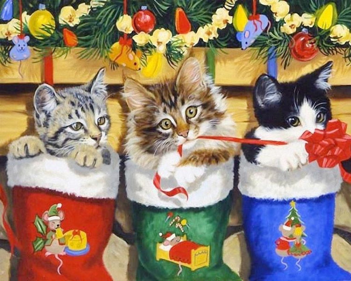 Diamond Painting Pakket - Serie Kerstmis - Kittens in Kerstsokken - 40x30 cm - Complete Set - Volledige Bedekking - Ronde Steentjes - Dielay