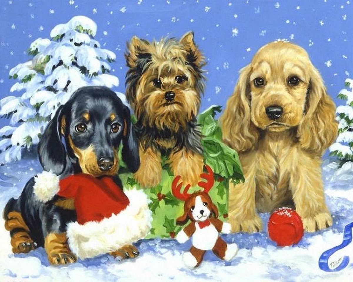 Diamond Painting Pakket - Serie Kerstmis - Puppys in de Sneeuw - 40x30 cm - Complete Set - Volledige Bedekking - Ronde Steentjes - Dielay