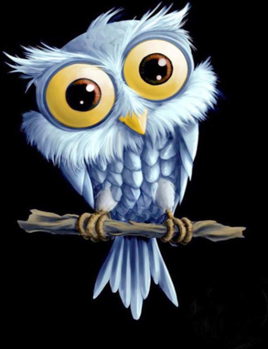 Diamond Painting Pakket - Uil - 30x20 cm - Complete Set - Volledige Bedekking - Ronde Steentjes - Dielay