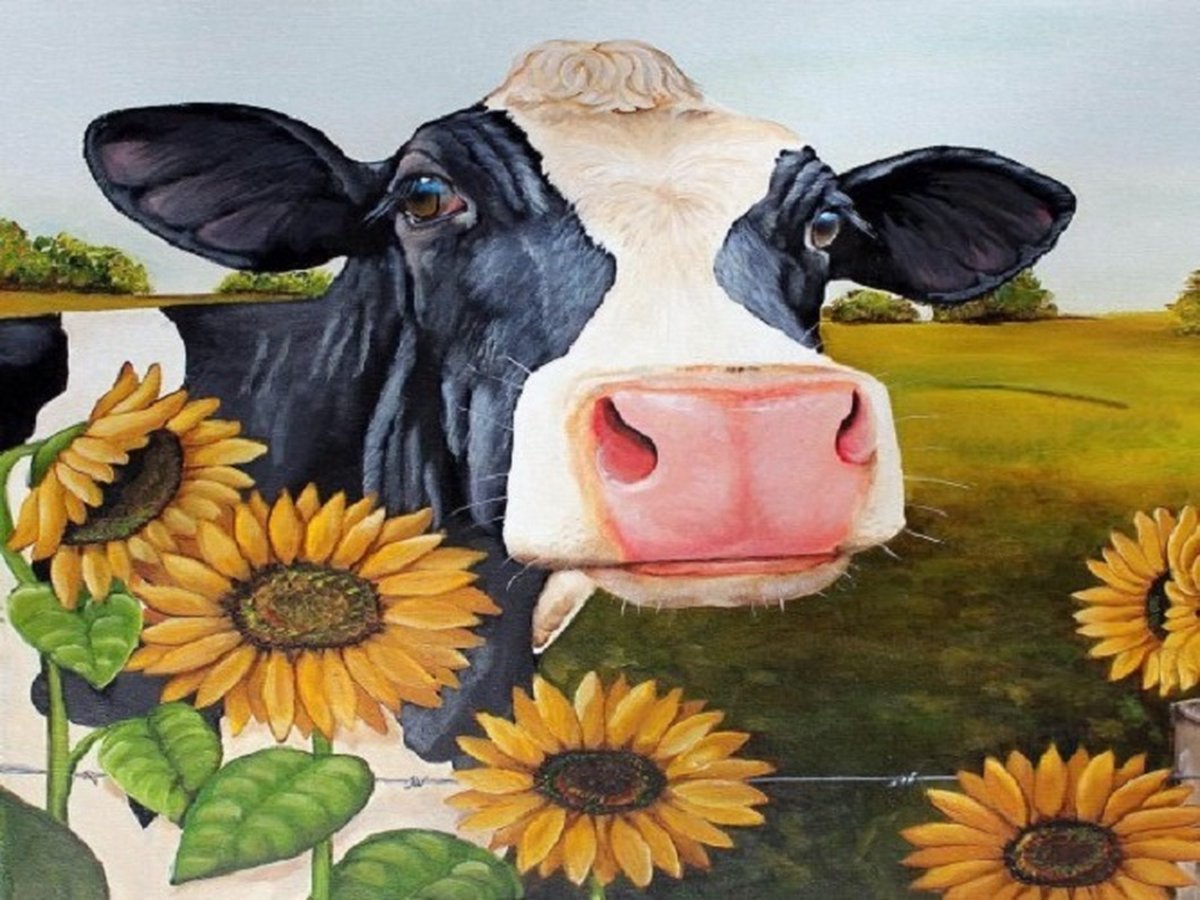 Diamond Painting Set Cow 40x30cm Full size ronde steentjes