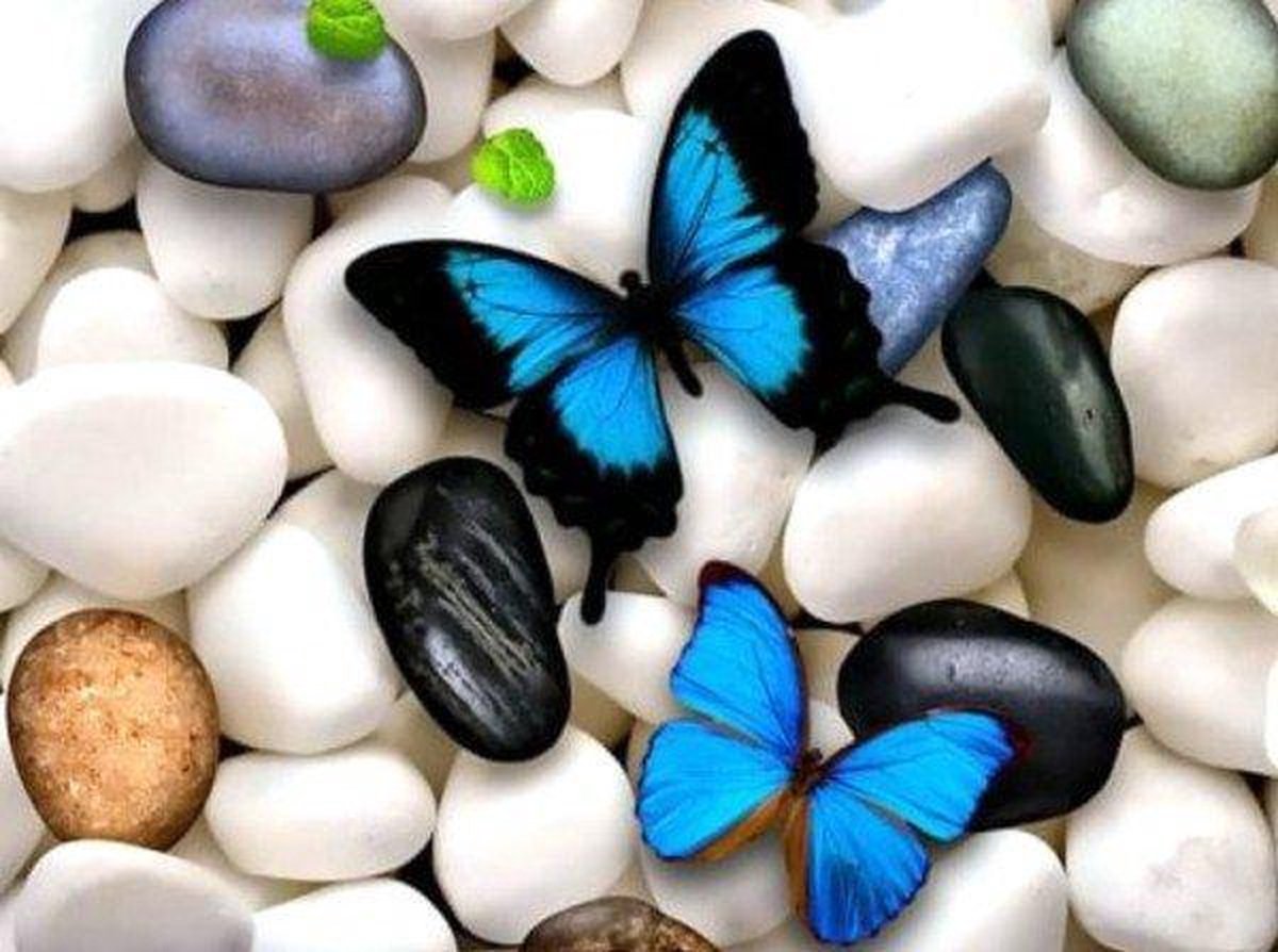 Mona Lisa Diamond Painting Set Pebbles Butterflies 1Q159
