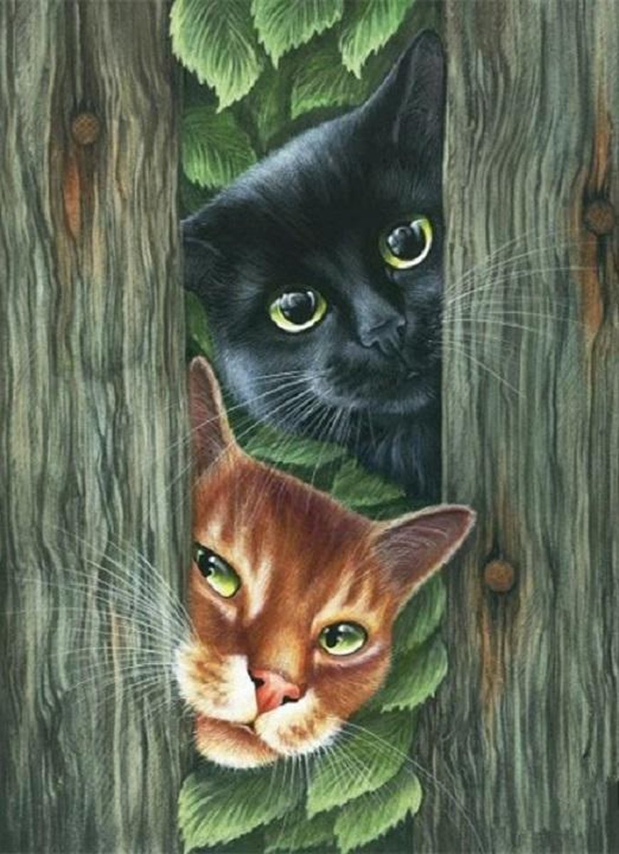   diamond painting compleet pakket 40x30cm: katten spelen kiekeboe