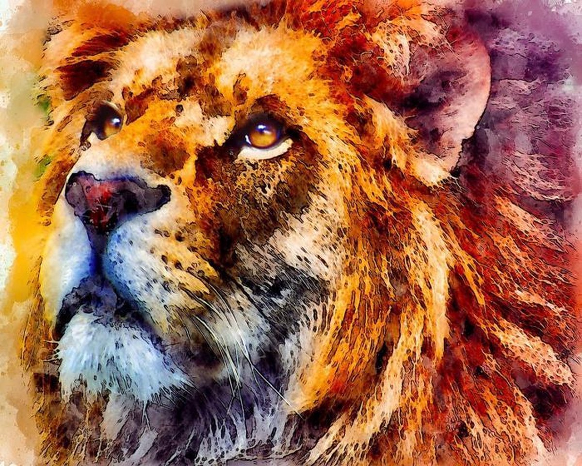 diamond painting leeuwen 50 x 40 cm oranje 440 gr.