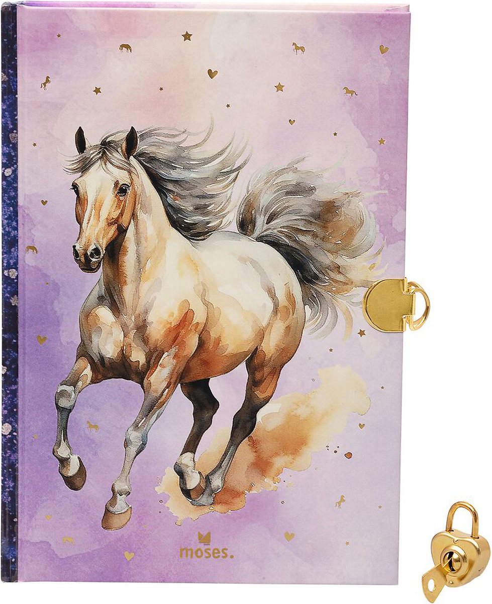 MOSES Journal Avec Cadenas.