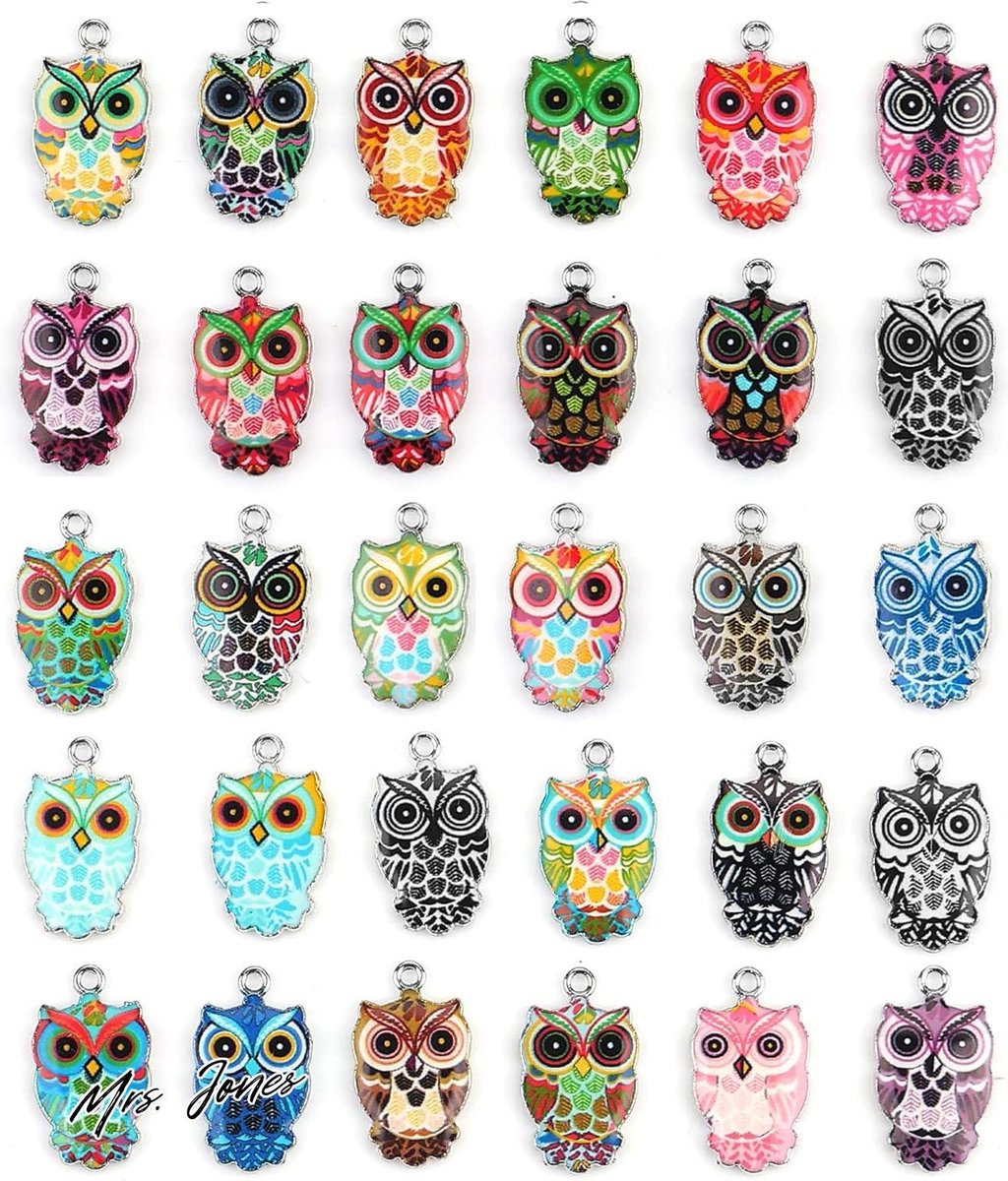 Mrs. Jones 30 stuks uil bedels voor sieraden maken - kleurrijke uil emaille bedels - metalen uil bedels hangers - schattige dieren sieraden maken benodigdheden - doe-het-zelf ketting oorbel armband .