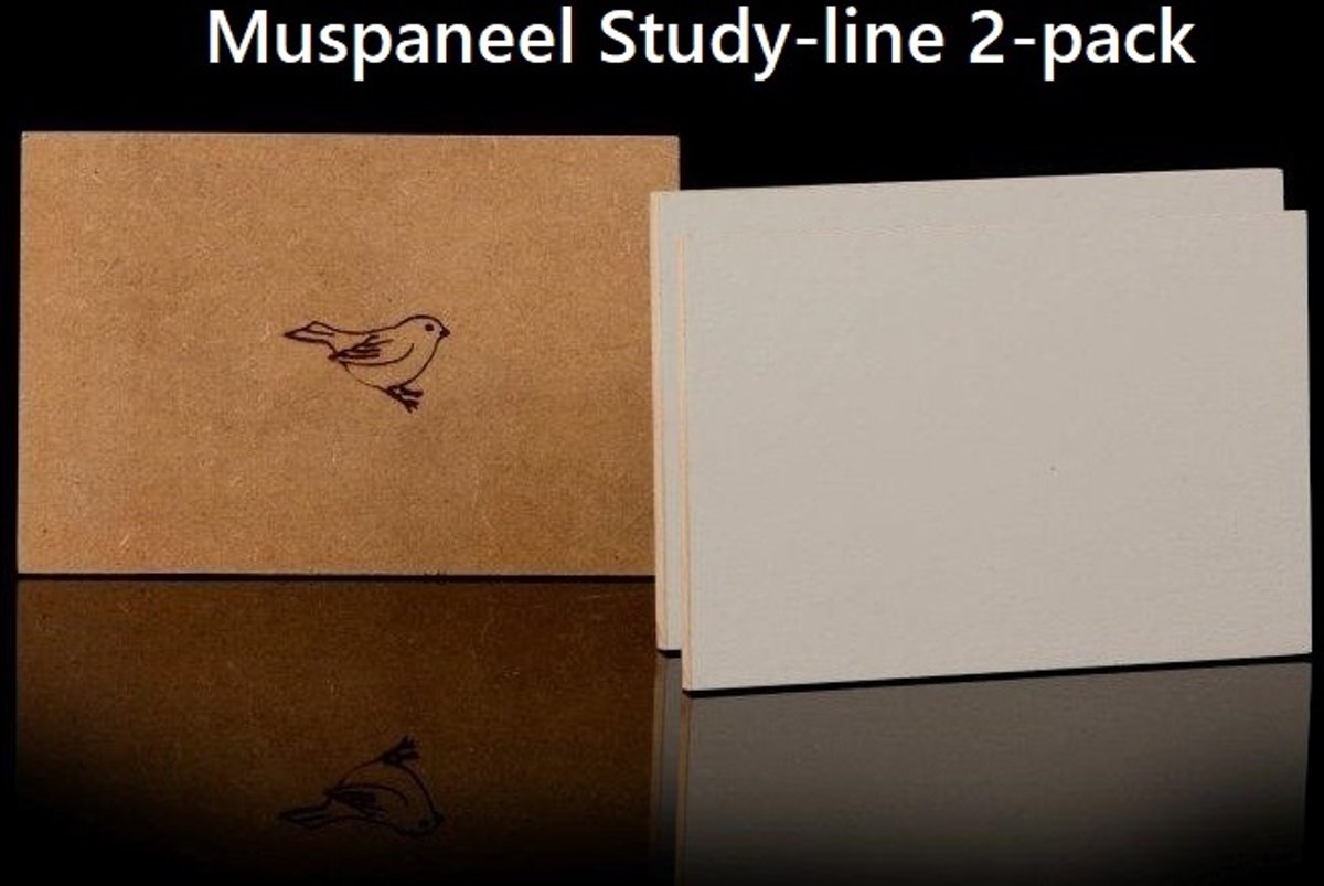 MusPaneel Study-Line 13 x 18 cm 2-pack