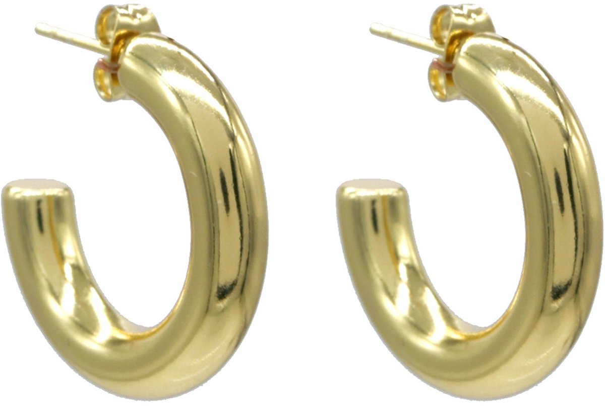 Oorbellen rond - RVS - goudkleurig - 2,5 cm - dames